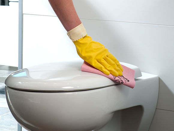Bayeta_Vileda_PVA_Baño_Rosa